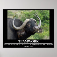 Wildlife Motivational Posters Buffalo Teamwork