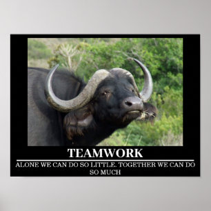 Wildlife Motivational Posters Buffalo Teamwork