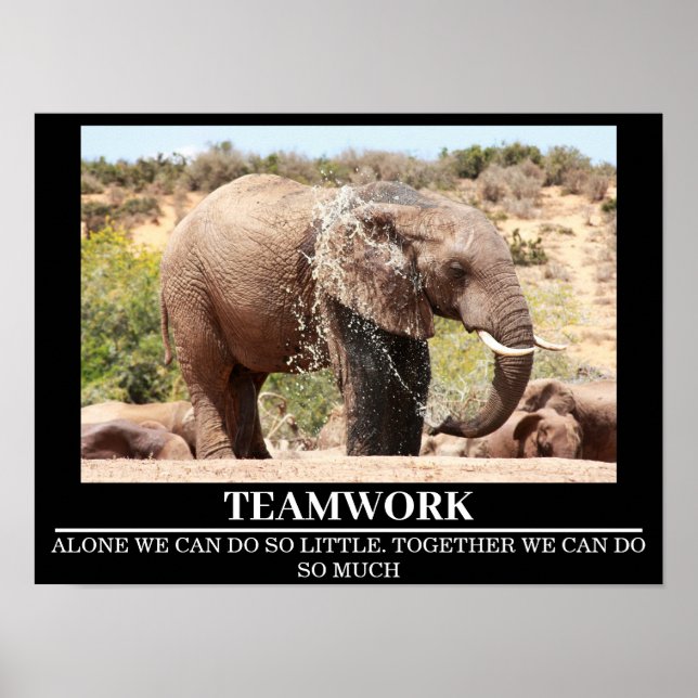 Wildlife Motivational Posters Elephant Teamwork (Front)