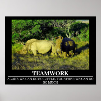 Wildlife Motivational Posters Rhinos Teamwork