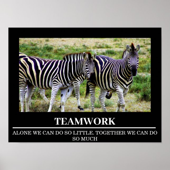 Wildlife Motivational Posters Zebra Teamwork (Front)