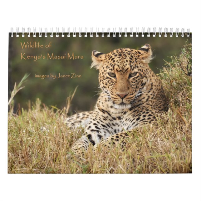 Wildlife of Kenya's Masai Mara Calender Calendar (Cover)