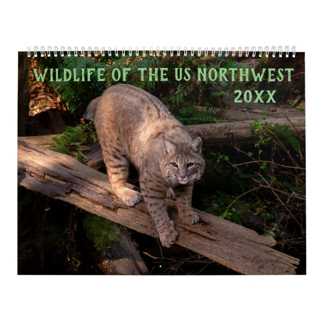 Wildlife of the Northwest US Calendar (Cover)