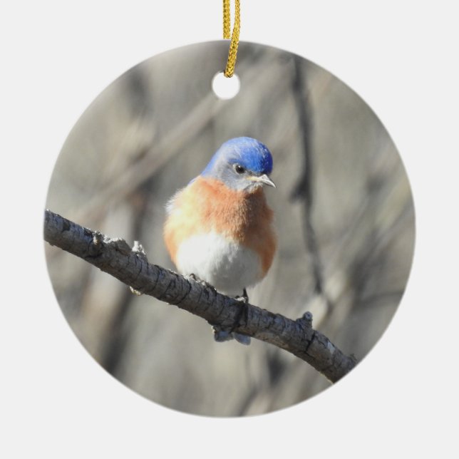 Wildlife ornament, eastern bluebird, birds, nature ceramic ornament (Front)