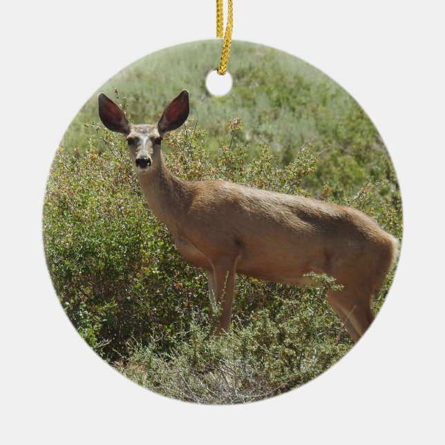 Wildlife ornament, mule deer, doe, nature, animals ceramic ornament (Front)