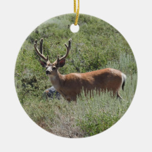 Wildlife ornament, mule deer, nature, animals ceramic ornament