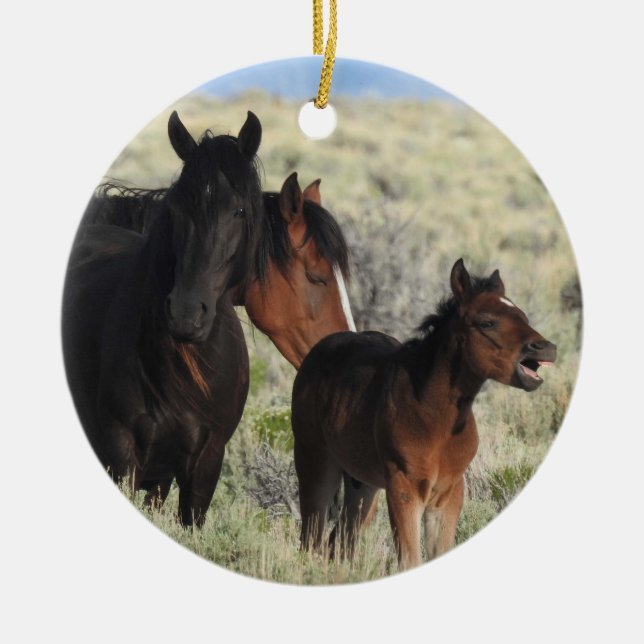 Wildlife ornament, wild horses, nature, animals ceramic ornament (Front)