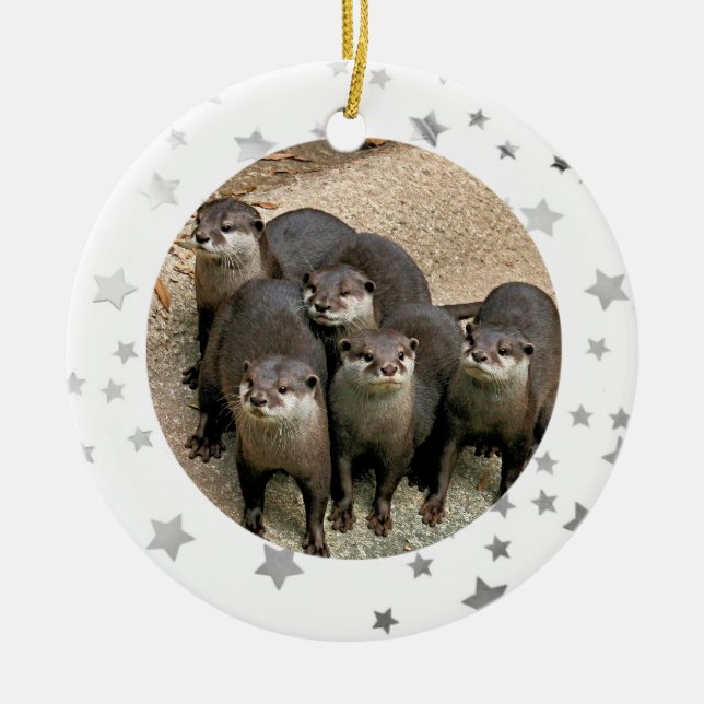 Wildlife Otter Stars Christmas Ornament (Front)