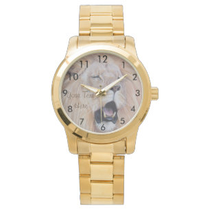 wildlife painting of lion roaring big cat watch