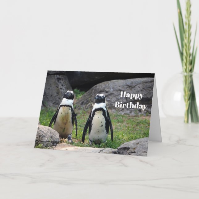 Wildlife Penguin Pair Photo Birthday Card (Front)