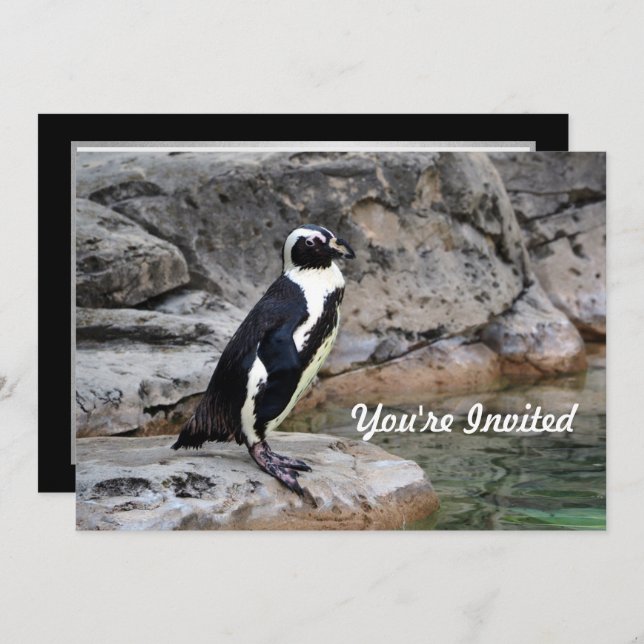 Wildlife Penguin Photo Birthday Invitation (Front/Back)