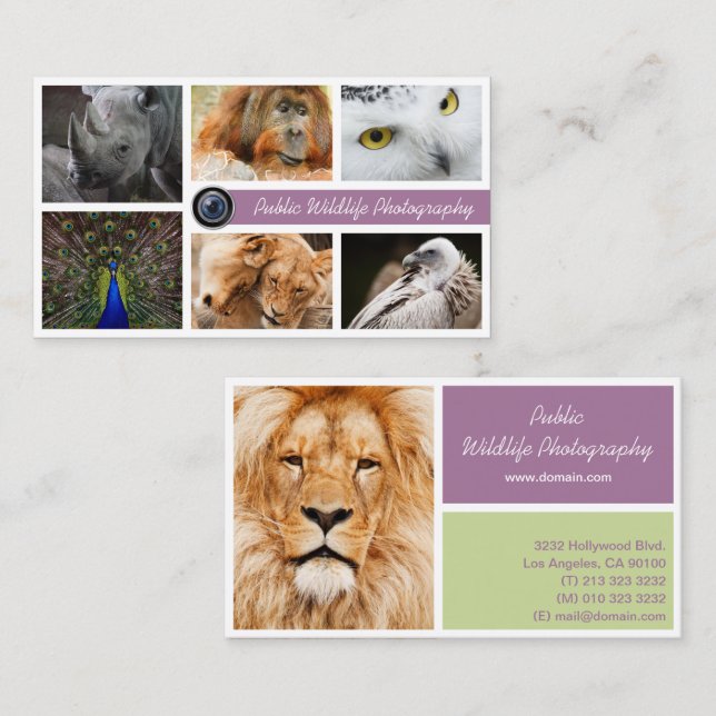 Wildlife Photographer Business Card (Front/Back)