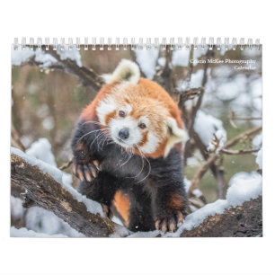 Wildlife Photography Calendar