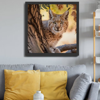Wildlife Photography Closeup of Bobcat Poster