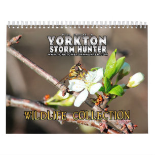 Wildlife Photography Collection Calendar