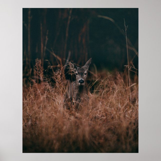 WILDLIFE PHOTOGRAPHY OF GRAY DEER SURROUNDED BY GR POSTER (Front)