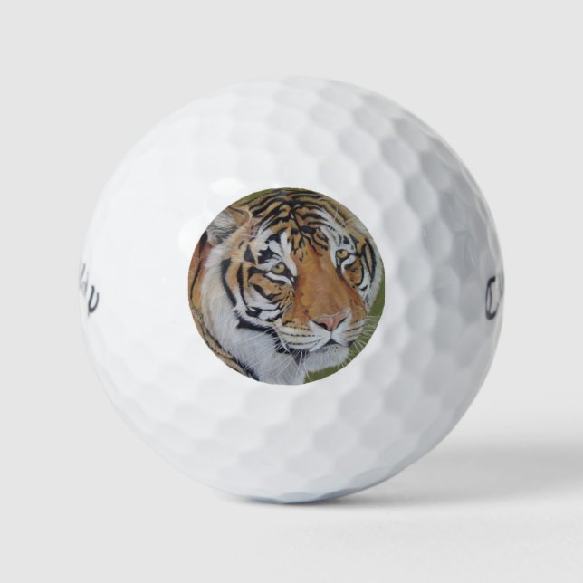 wildlife picture of big cat tiger golf balls (Front)