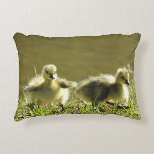 Wildlife pillow, baby goslings, Canadian geese, Decorative Cushion