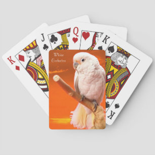 Wildlife playing cards