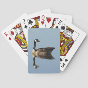 Wildlife playing cards, Canadian goose, nature Cards