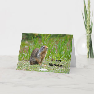 Wildlife Prairie Dog Photo Birthday Card