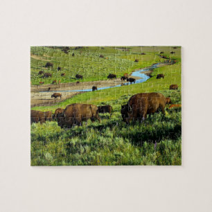 Wildlife Puzzle-Buffalo Jigsaw Puzzle