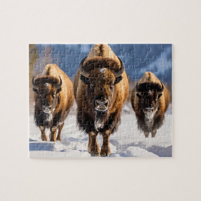 Wildlife Puzzle-Buffalo Jigsaw Puzzle (Horizontal)