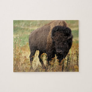 Wildlife Puzzle-Buffalo Jigsaw Puzzle