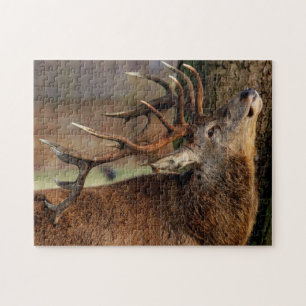 Wildlife Puzzle-Deer Jigsaw Puzzle
