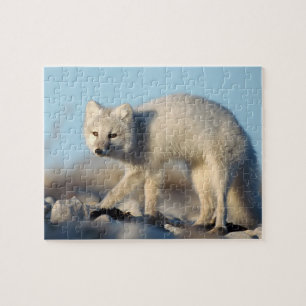 Wildlife Puzzle-Fox Jigsaw Puzzle