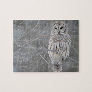 Wildlife Puzzle-Owl Jigsaw Puzzle