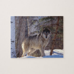 Wildlife Puzzle-Wolf Jigsaw Puzzle