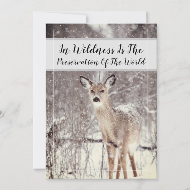 Wildlife Quote Woodland Deer Snow Winter Holiday Card (Front)