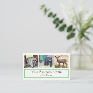 Wildlife Racoon Black Bear Cub Deer Animal Lover  Business Card
