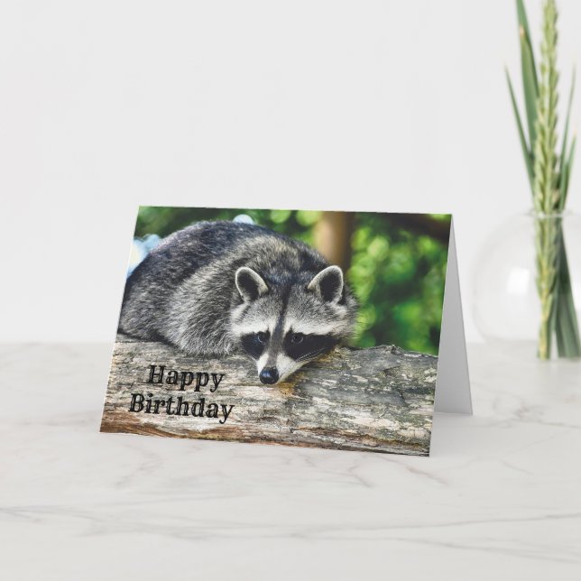 Wildlife Racoon Log Mammal Photo Birthday Card (Front)