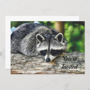Wildlife Racoon Log Mammal Photo Birthday Invitation