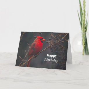 Wildlife Red Cardinal Birthday Card