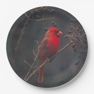 Wildlife Red Cardinal Photo Paper Plate