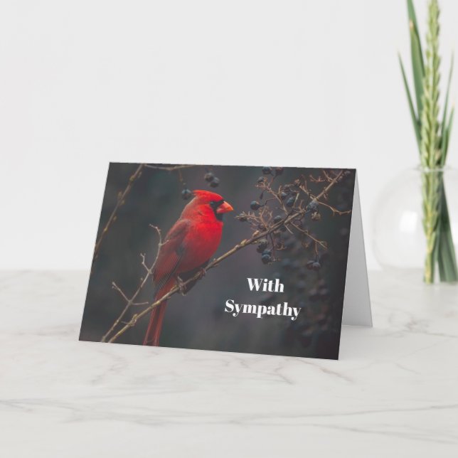 Wildlife Red Cardinal Photo Sympathy Card (Front)