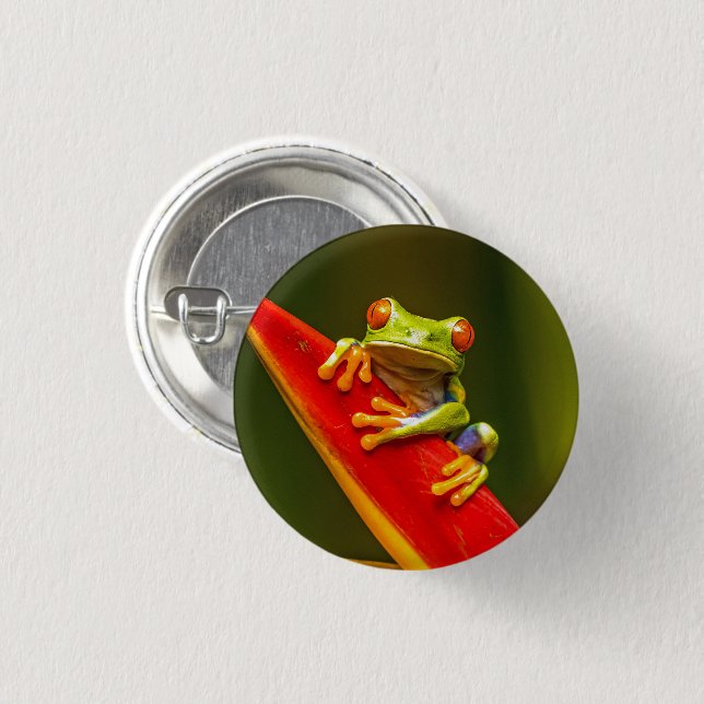 Wildlife Red Eyed Tree Frog Photo 3 Cm Round Badge (Front & Back)