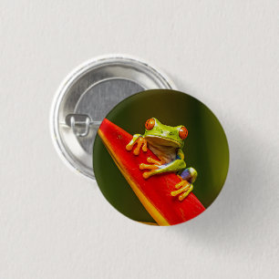 Wildlife Red Eyed Tree Frog Photo 3 Cm Round Badge