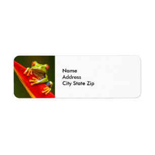 Wildlife Red Eyed Tree Frog Photo Return Address Label