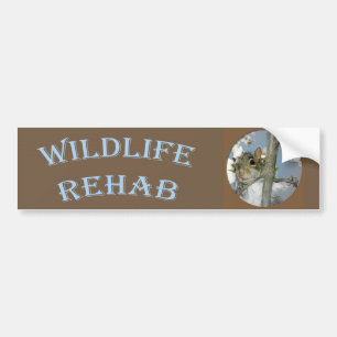 Wildlife Rehab - Baby Face Circle Bumper Sticker