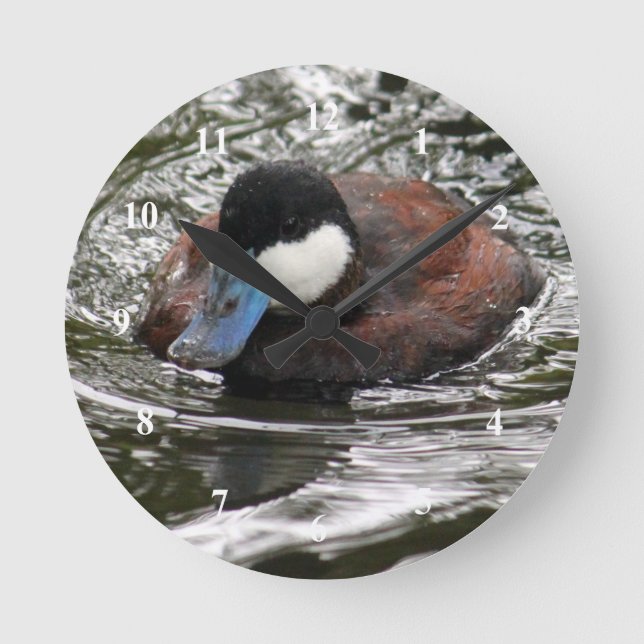 Wildlife Ruddy Duck Photo Round Clock (Front)