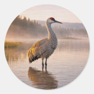Wildlife Sandhill Crane Wetland Classic Round Sticker