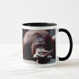 Wildlife Set - Primates 10 Mug