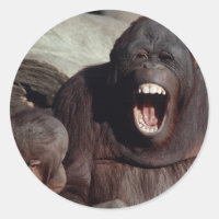 Wildlife Set - Primates 1