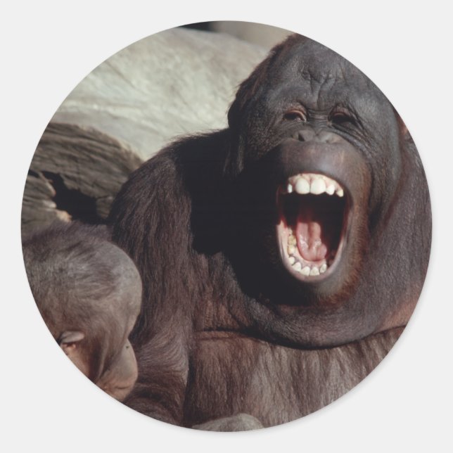 Wildlife Set - Primates 1 Classic Round Sticker (Front)