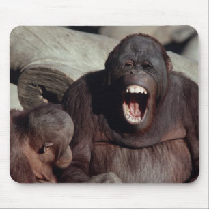 Wildlife Set - Primates 1 Mouse Pad
