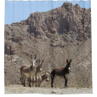 Wildlife shower curtain, wild burros, Arizona Curtain